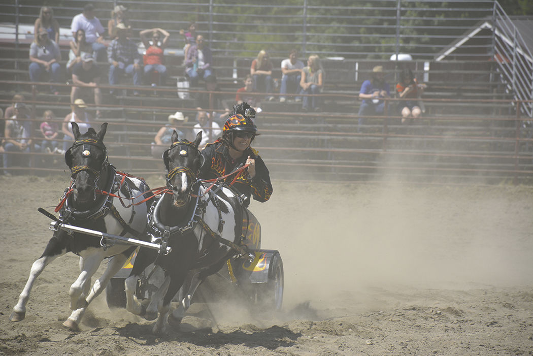 Roy Rodeo